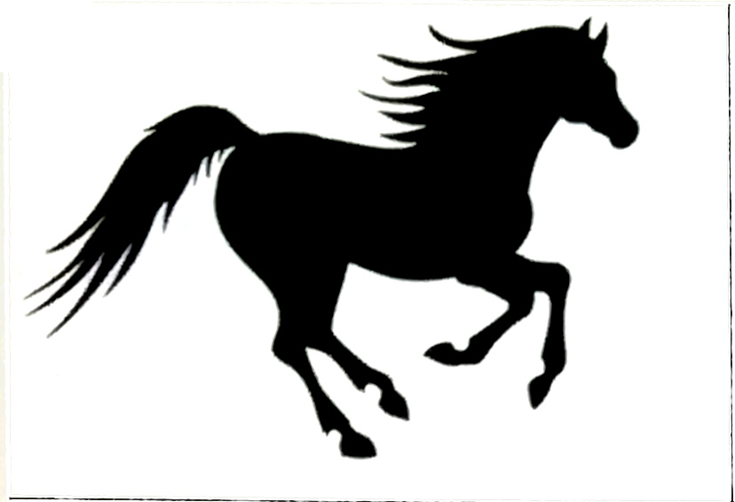 CAVALLO 1